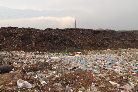 Turning Waste to Worth