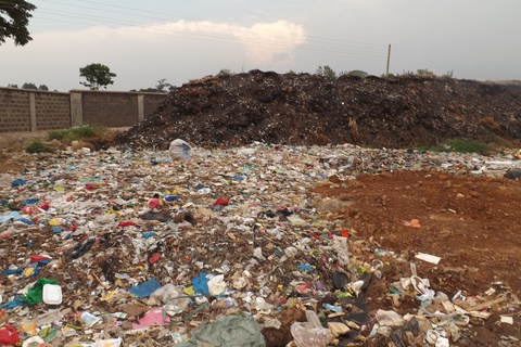 Turning Waste to Worth