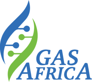 Read more about the article Gas Africa